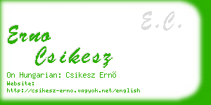erno csikesz business card